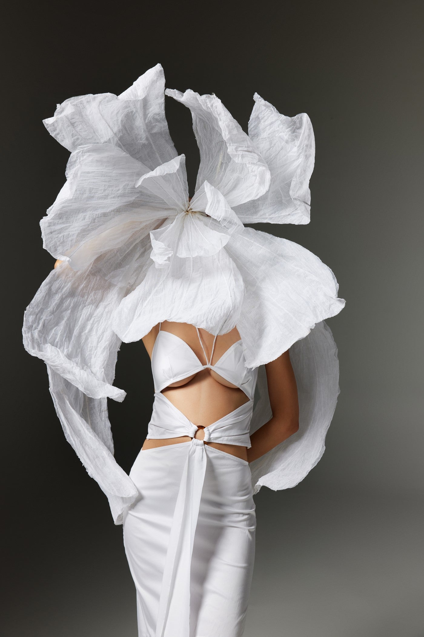 Swan Strappy Dress